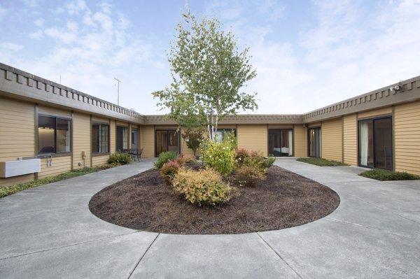 Center courtyard