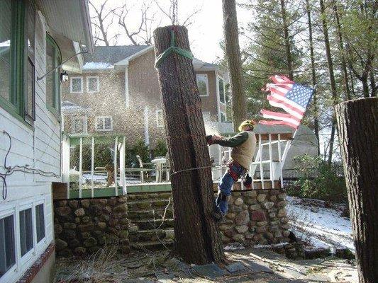 Maximum Tree Service