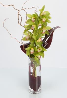 A striking, modern design of a cymbidium orchid stem in a glass vase. Lasts for weeks!