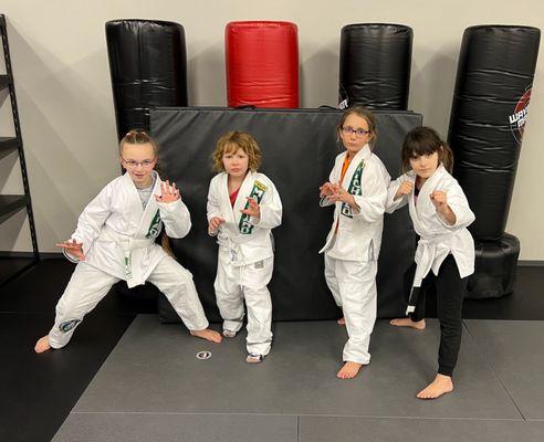 Brazilian Jiu-Jitsu (BJJ) for Kids at Triumph Martial Arts in Pella!