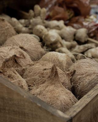 Fresh coconuts