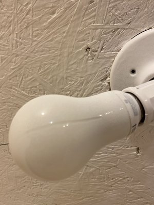 Painted light bulb