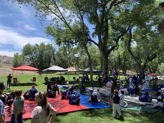 An amazing jiu-jitsu family event in the park!