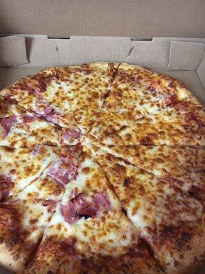 Half ham and half cheese pizza