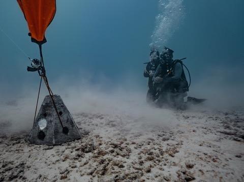 Reef Burial Deployment