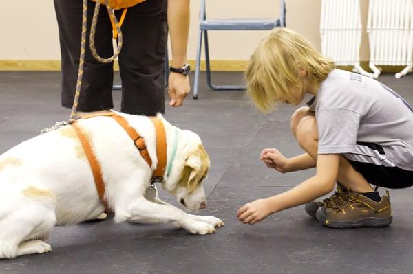 Training for all ages of Pets and People, even a free training class with each adopted dog