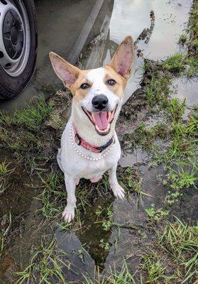 Emma loves her puddles!