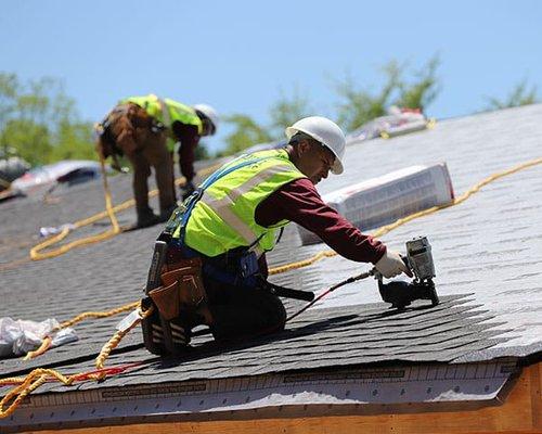 Shingle Roof