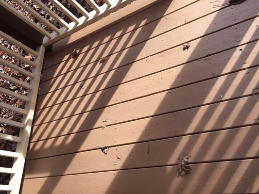 After Playground Deck Cleaning