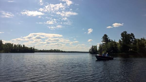 Blue Spruce - Ely lake