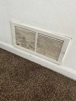 Moldy air vents