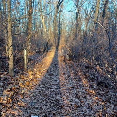 On the Turnpike Trail