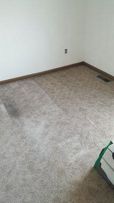 We are great at carpet cleaning, and at a lower cost!