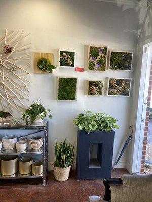 Beautiful plant displays