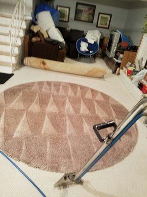 Rug