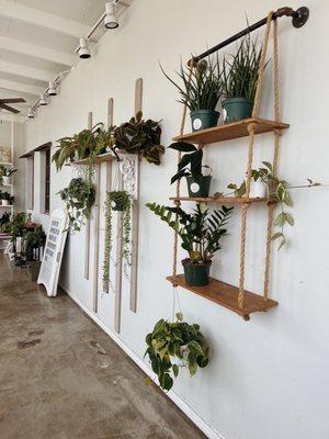 who doesn't love a good sunroom full of plants for a meeting/work/hang space?!