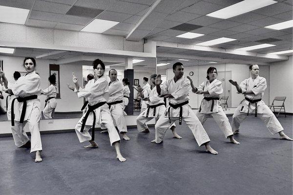 Adult advance Kata class