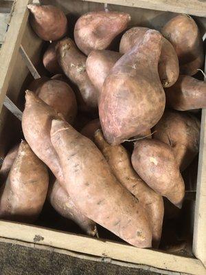 Sweet Potatoes