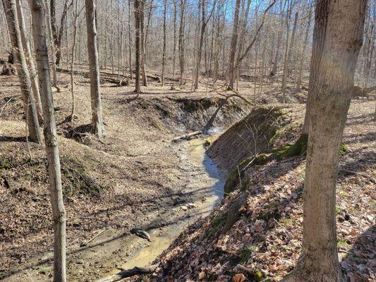 Stream from Hickory Trail