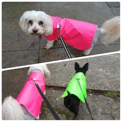 Raincoats. Pink coat is small long; green coat is extra small.