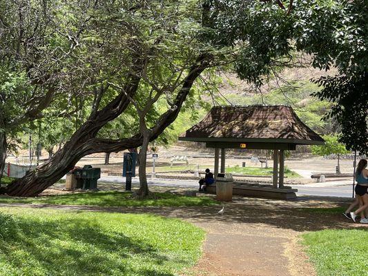 They are located behind the main KCC bus stop on Diamond Head Road.