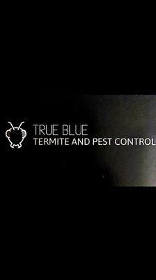 Noticing unwanted pests in or around your home ?Call us today for a free inspection. Services can be done same day.