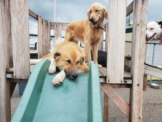 "I want to go down the slide"!