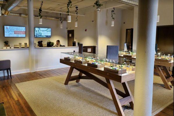 Inside The Botanist Medical Cannabis Dispensary of Buffalo NY Upstate New York