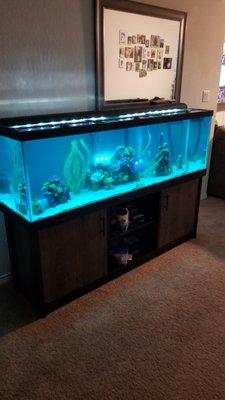 150 Gallon Freshwater Monthly Aquarium Maintenance.