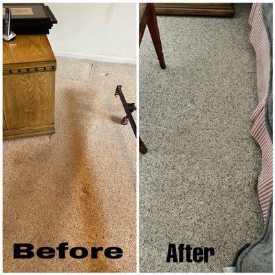 Steve's Carpet Cleaning