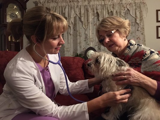 Dr. Cushing examines a hospice patient during a house-call.