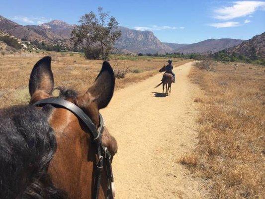 Trail ride located a little more than mile from RVEC. You can get to the trail without crossing or going along any roads.