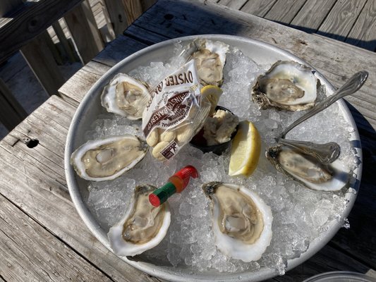 Arrowhead oysters from the raw bar