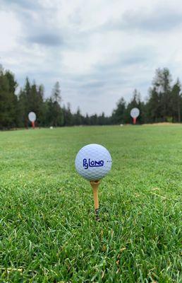 Pg Long golf balls sighting  at Association of General Contractors golf event in Sunriver, OR.