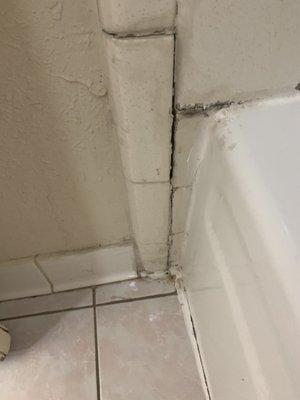 Dirty, horrible maintenance. They don't care how the customer is treated