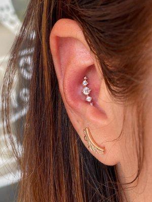 Conch Piercing