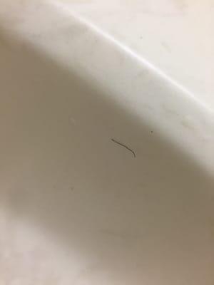 Not may hair...  There washout everywhere included pubic hair in the bathtub