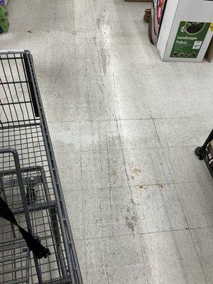 More gross floors.