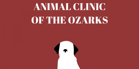 Animal Clinic of the Ozarks