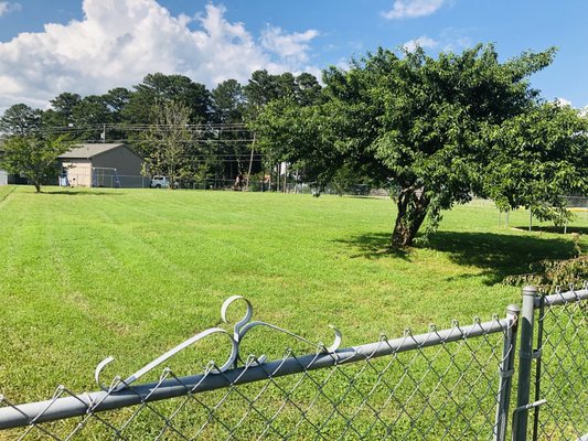 Fresh cut lawn