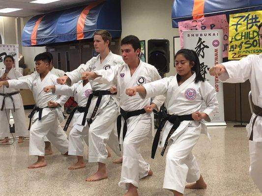 Enso Karate at Japan Fest!