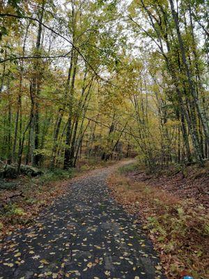 George Dudley Seymour State Park