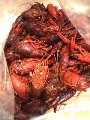 Broiled crawfish!! Sooo cheap! Only $3.29lb! I got nearly 6lb to eat all night long!