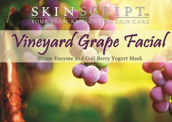 Vineyard Grape Facial