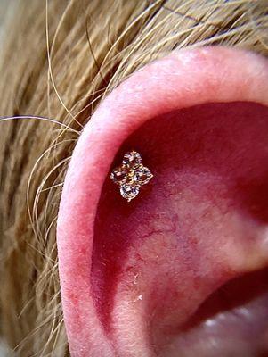 Helix Piercing with 14k Gold Quadruple Cubic Zirconium Prong set.