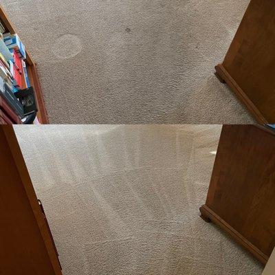 Carpet steam cleaning before and after