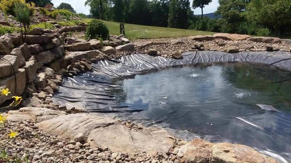 Here is a different angle form the pond Installation from the Summer of 2023.