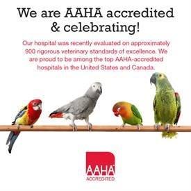 AAHA accredited.