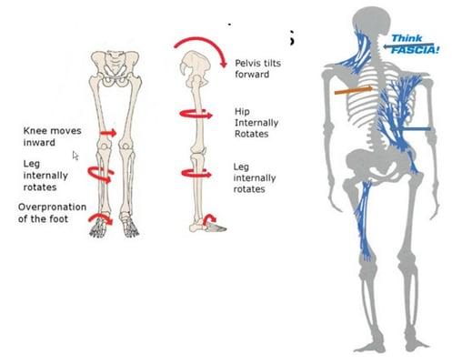 Postural Analysis