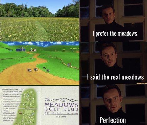 The meadows